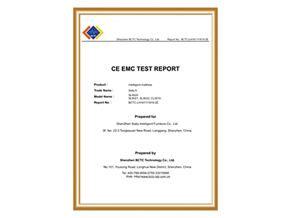 CE EMC TEST REPORT